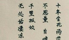 情梦思量自难忘_100字