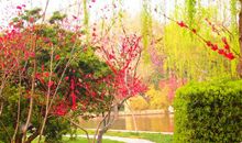 [超新星初中组]春暖花开_900字