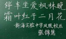 [超新星初中组]地上的方格_750字