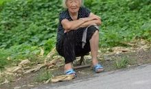 树下的老人_100字