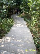 攀登山脉_1200字