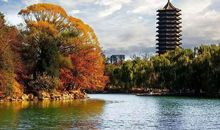 北大的未名湖_400字