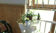 校园植物角_250字