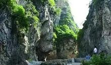 美丽泾川之风光_500字