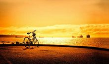 用心感受生活_1200字