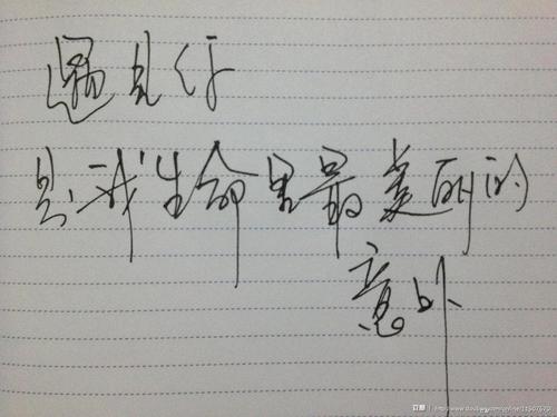 美丽的事故_1500字