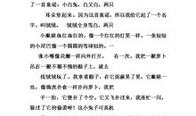 单元作文：套兔子_1200字