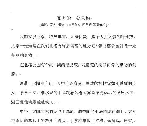 美丽的国家_350字