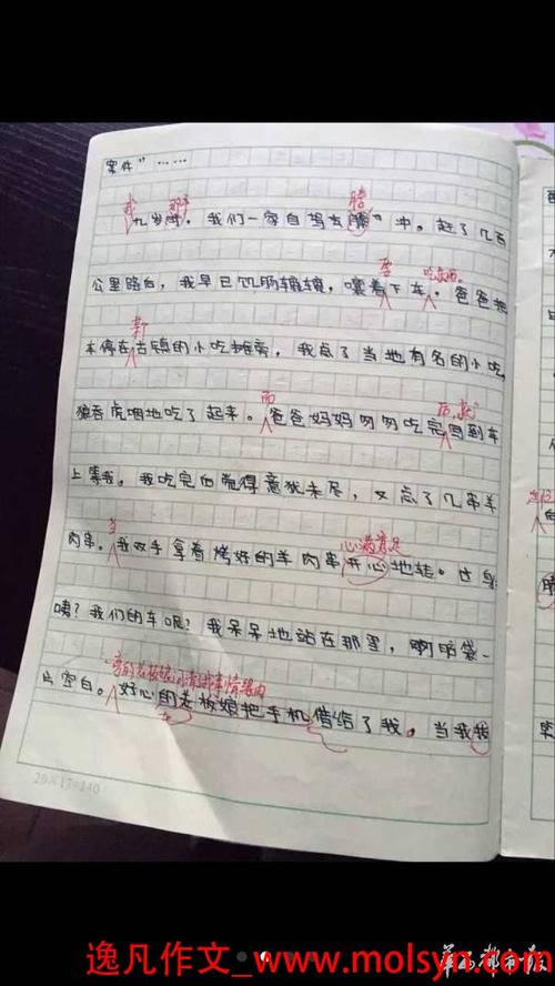 单位成分：令人难忘的小学生活_650字