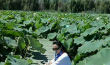 单元作文：年少的我，埋藏谁的寂寞_250字