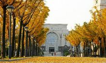 秋天的故事_1200字