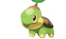 单元作文：捉节溜龟_1000字