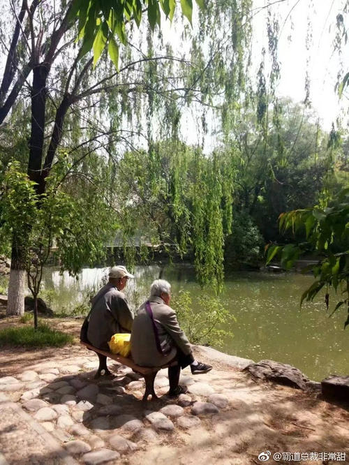 楼下的老太太_500字