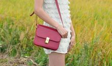 [超新星初中组]稻香飘_250字