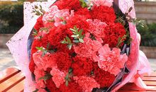 [超新星初中组]爱的芬芳_900字