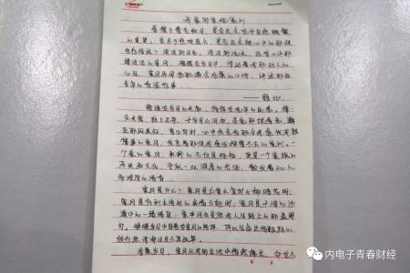 我的收藏_700字