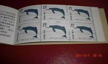 [超新星初中组]白鳍豚的诉苦_700字