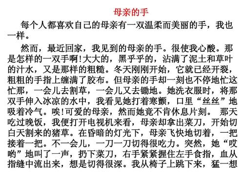 单位成分：妈妈的手_800字