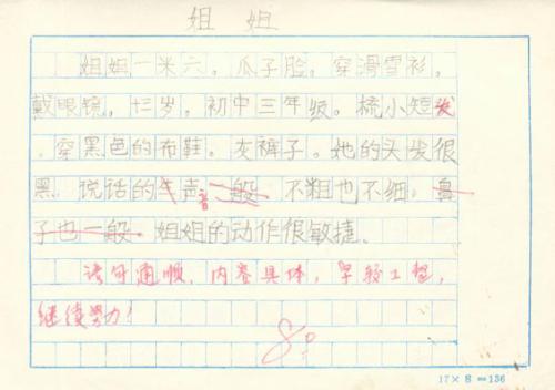 单位成分：我的顽皮妹妹_650字
