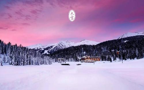 欢迎冬季雪_550字