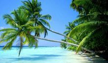 当时间划过青春的季节_900字