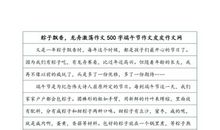 关于端午节作文500字_500字