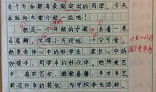 关于春的作文：春天的诗（3）_100字