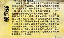 小王子读后感_550字
