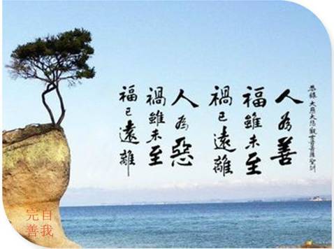 单位成分：“玩味”无限制 - 谢顿节_700字
