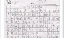 关于端午节的英语作文_1200字