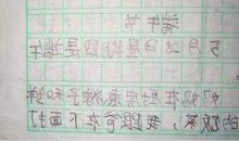 单元作文：过端午_550字