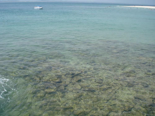 海南美_300字