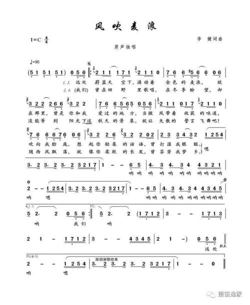 风正在唱歌_300字