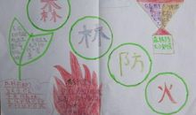 我爱我的家园_350字