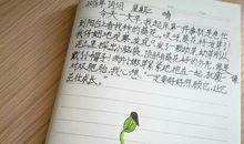 单元作文：我们班的“小辣椒”_700字