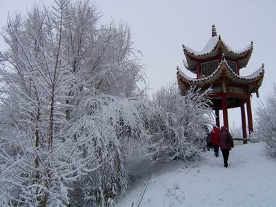 家乡的雪_450字
