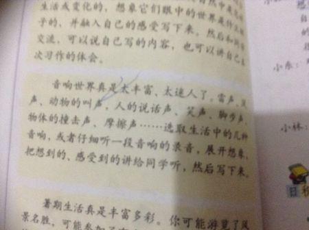 单位成分：爸爸的脚步_400字