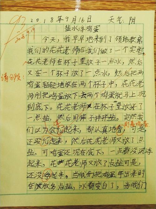 单位成分：浮蛋_500字