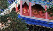 美丽的红山公园_400字