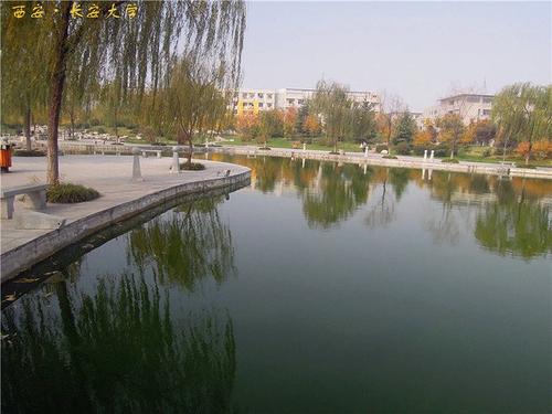 校园景观_400字