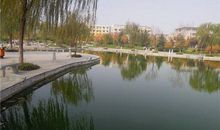 校园的风景_400字