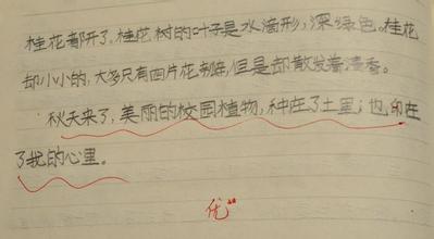 校园爱学校路_400字