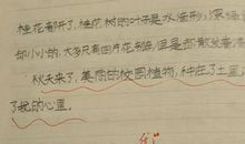 校园的爱校路_400字