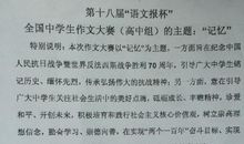 [PK赛]关于印象深刻的一件事的作文：那是一次成功的尝试_750字