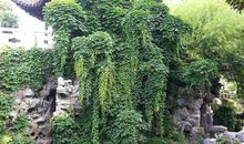 [pk赛] 关于雨的作文：那时的绵绵细雨_500字