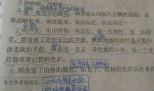 [PK赛]关于雨的作文：下雨天的一天_650字