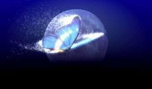 蝴蝶，沧海_650字