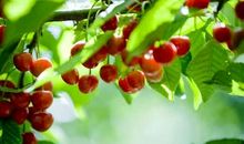 [PK赛]关于雨的作文：时维小满_1200字