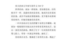 [pk赛]关于雨的作文：雨在一直下_100字