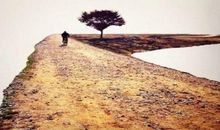 漫步人生_1200字